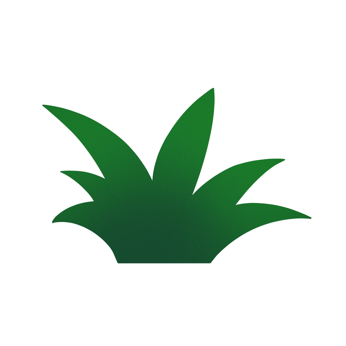 Grass